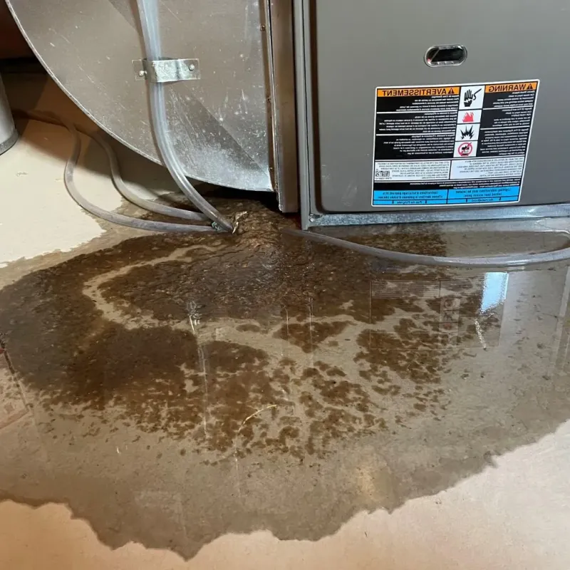 Pipe Burst and Leak Restoration in Pueblo County, CO