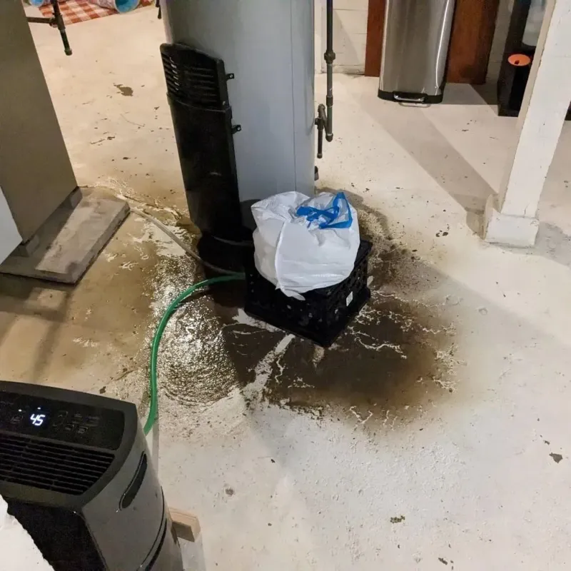 Sewage Backup Cleanup Service in Pueblo County, CO